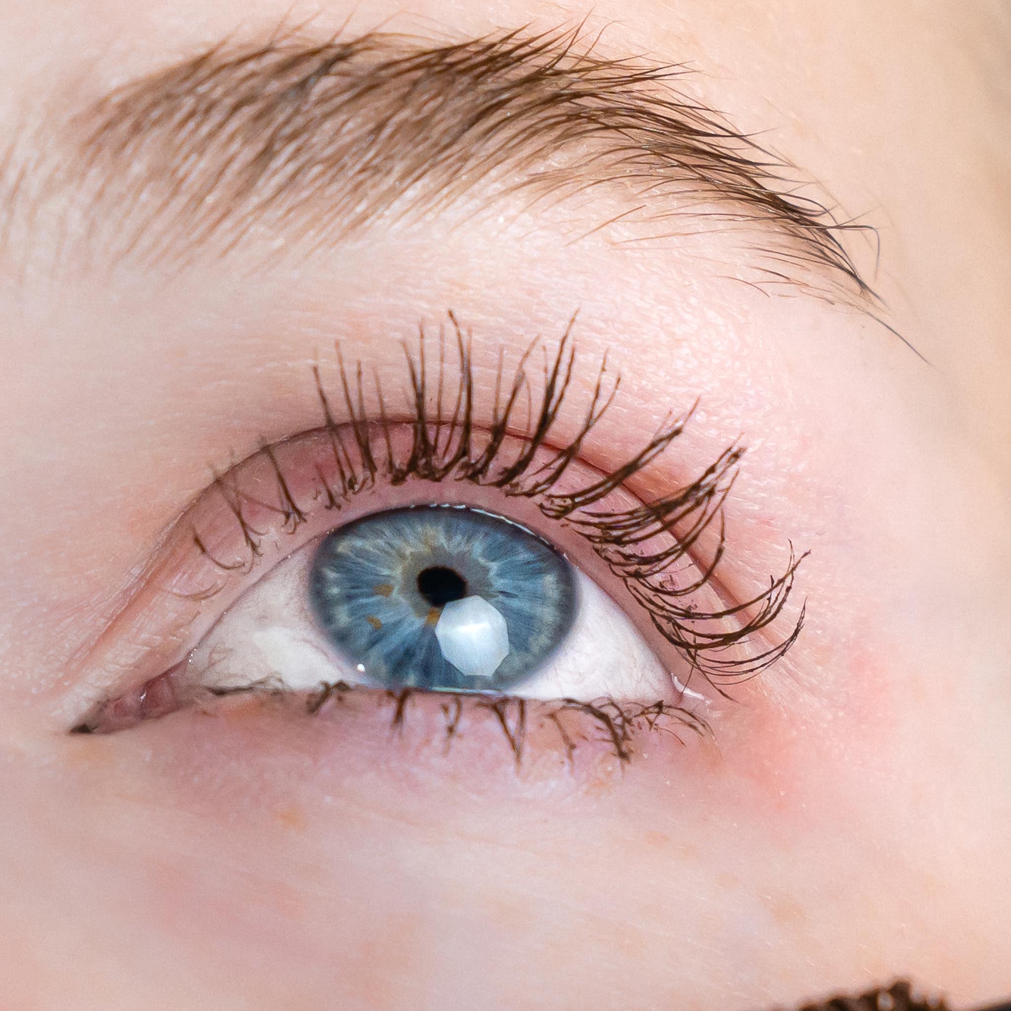 The Prados Baddie Buildable Mascara (BBM!) – Chocolate Brown